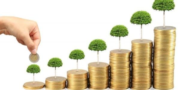 تجارة مربحة بكل المقاييس