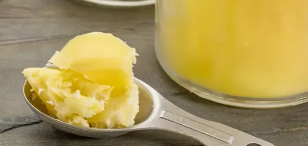 دراسة جدوى مشروع صناعة السمن