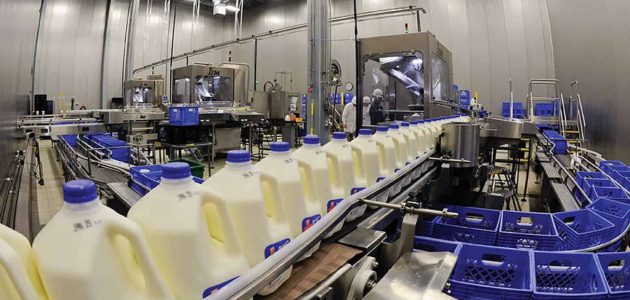 دراسة جدوى مشروع مصنع حليب