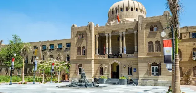 رسوم جامعة عين شمس لغير المصريين