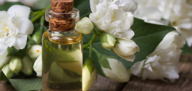 صنع عطر الياسمين في المنزل