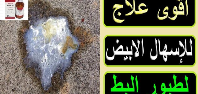 علاج الإسهال الأبيض عند البط