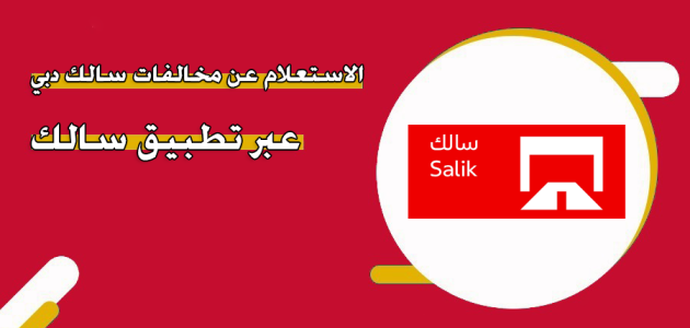 مخالفات سالك دبي