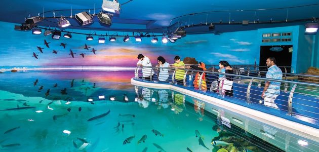 مربى الشارقة للأحياء المائية