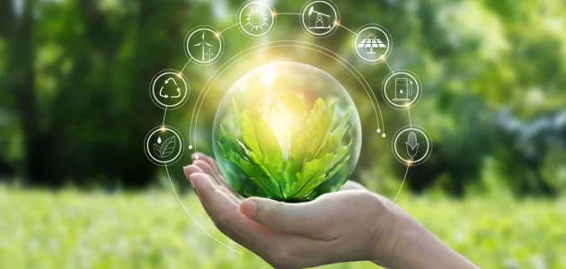 مفهوم التنمية المستدامة