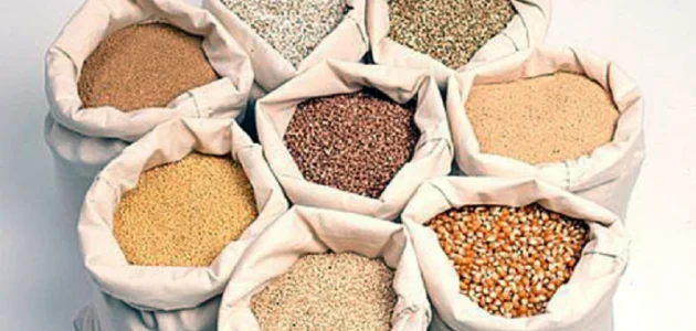 أنواع أعلاف الدواجن في مصر