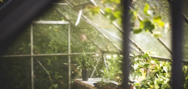 أنواع الصوب الزراعية