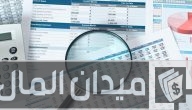 أنواع القوائم المالية