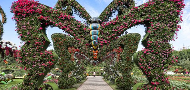 أوقات عمل حديقة الفراشات الشارقة