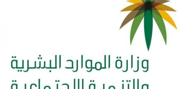 العمل في وظيفتين