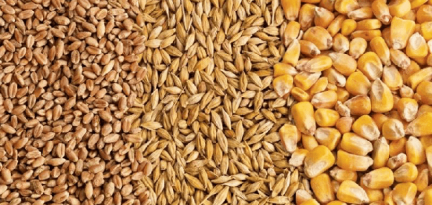 الفرق بين العلف البادي والنامي والناهي