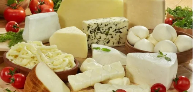 اماكن بيع الجبن بالجملة في مصر