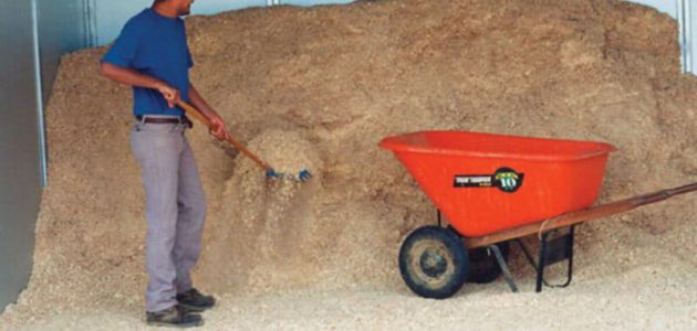 تصدير نشارة الخشب