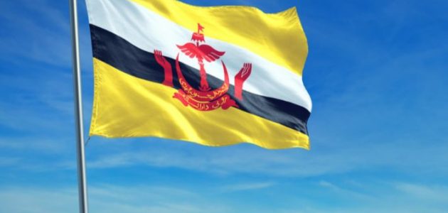 تكاليف المعيشة في بروناي