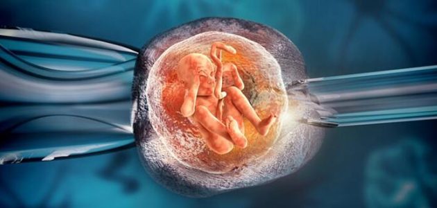 تكلفة عملية طفل الأنابيب