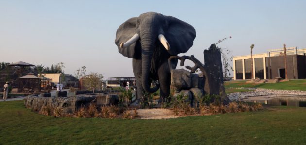 حديقة الحيوانات كابر أم القيوين