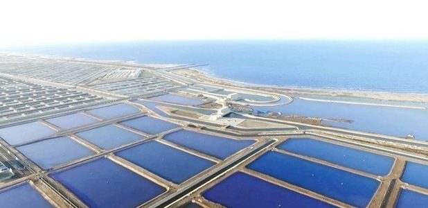 دراسة جدوى مزرعة أسماك