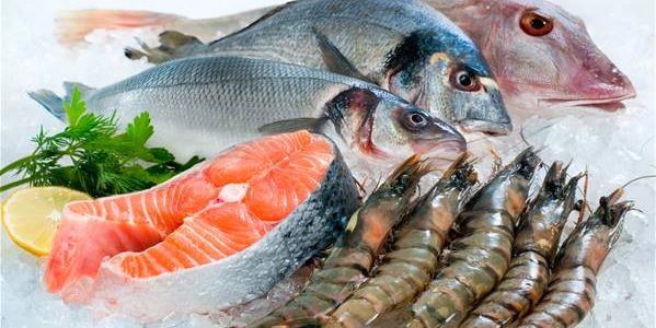 دراسة جدوى مشروع محل أسماك