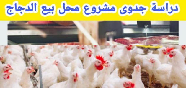 دراسة جدوى مشروع محل بيع فراخ