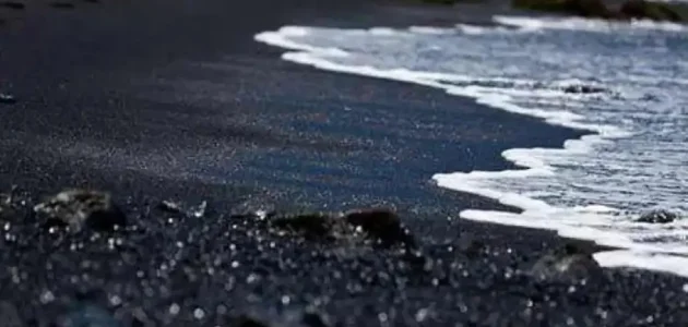 رواتب شركة الرمال السوداء