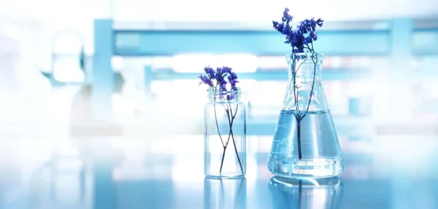 رواتب محضري المختبرات