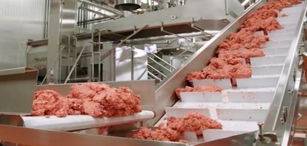 شركات تصنيع اللحوم في مصر