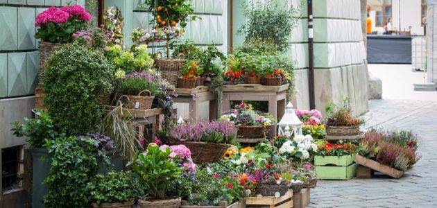 فتح محل بيع ورد في الإمارات