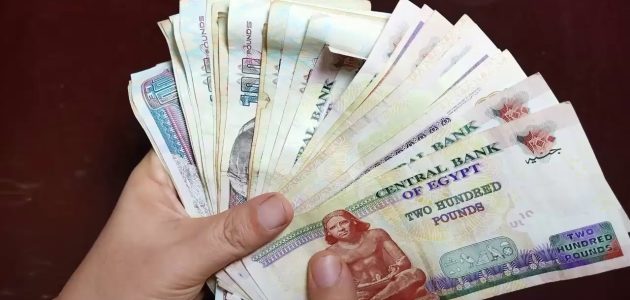 مشروع برأس مال 15 ألف جنيه