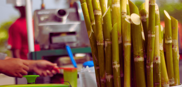 مشروع محل عصير قصب