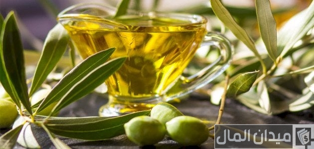 مشروع معصرة زيت الزيتون