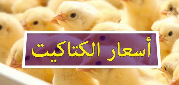 أسعار الفراخ و الكتاكيت