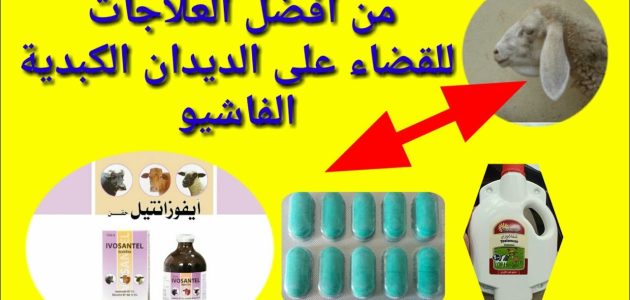 أفضل علاج للديدان عند الغنم