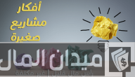 أفكار مشاريع صغيرة في المنزل تحقق دخل ممتاز
