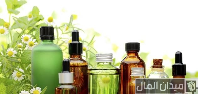 أنواع النباتات التي تتحول إلى منتجات صناعية