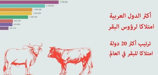 الدول العربية الأكثر امتلاكًا للأبقار