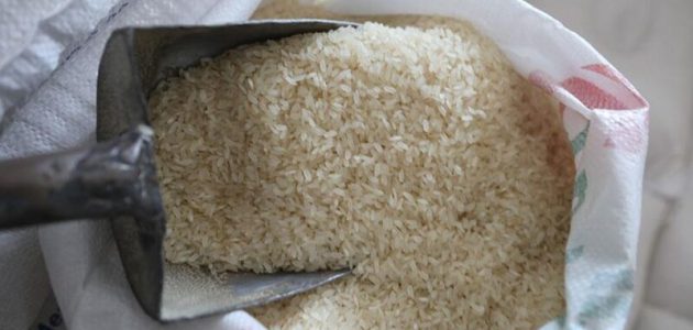 دراسة جدوى مشروع تجارة الأرز