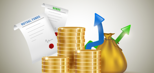 ما هي السلع الاستثمارية