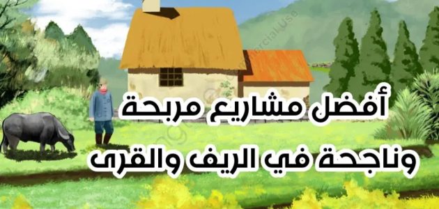 مشاريع في الريف