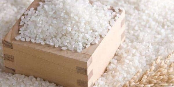 مشروع تجارة الأرز الأبيض