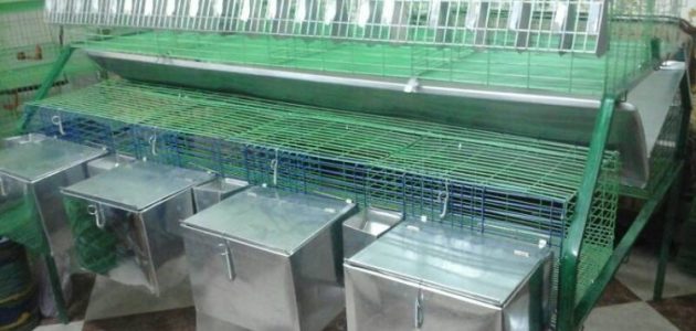 مشروع صناعة بطاريات أرانب