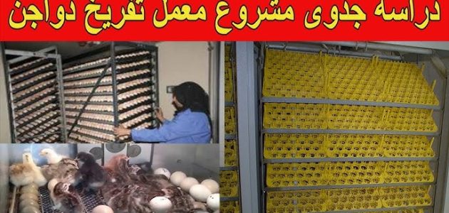 مشروع معمل تفريخ دواجن