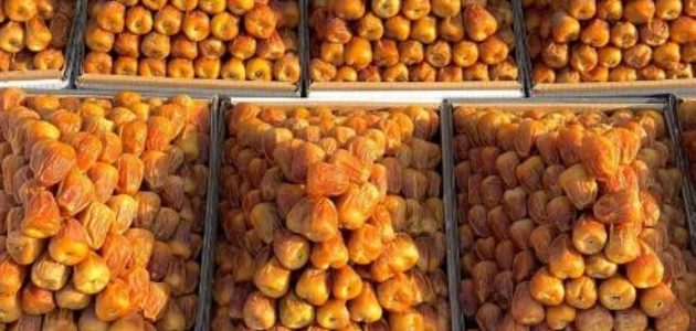 استعدادات مكثفة لإطلاق كرنفال بريدة للتمور في القصيم لتعزيز الاقتصاد المحلي