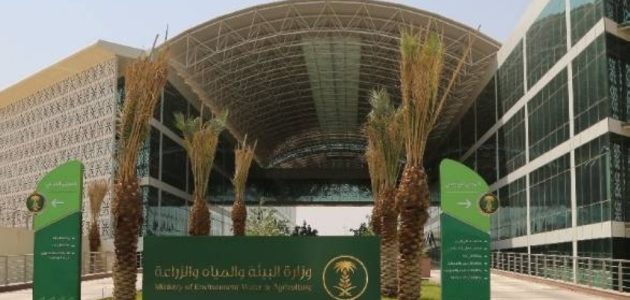 الزراعة: الرياض تعزز إنتاج التمور في السعودية بإضافة أكثر من 8 ملايين نخلة