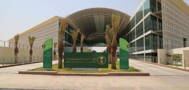 تبوك تحقق إنجازًا اقتصاديًا بحصاد 750 طنًا من الكمثرى سنويًا من 15000 شجرة