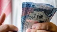 سعر الريال السعودي في البنوك اليوم الأحد 13 يوليو 2025: تفاصيل جديدة تهمك