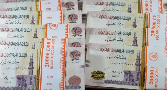 قرار البنك المركزي يفتح الأبواب أمام أعلى شهادات الإدخار في البنوك: تعرف على التفاصيل