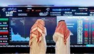 أسهم 102 شركة تسجل ارتفاعًا ملحوظًا والمؤشر يصل إلى 10,763.45 نقطة