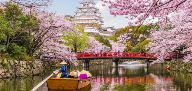 أمريكا تعلن عن خفض الرسوم الجمركية على السيارات في خطوة جديدة تؤثر على السوق الياباني