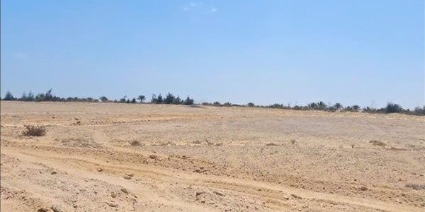 قرار جمهوري بتخصيص 18.5 ألف فدان لمشروعات تنموية تعزز الاقتصاد في محافظة البحيرة